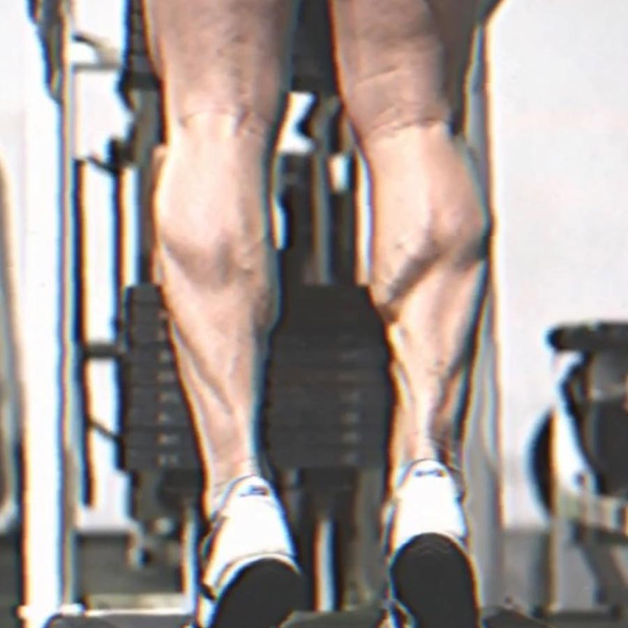 Legs Manual