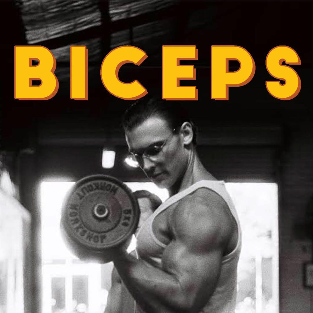 Biceps Manual